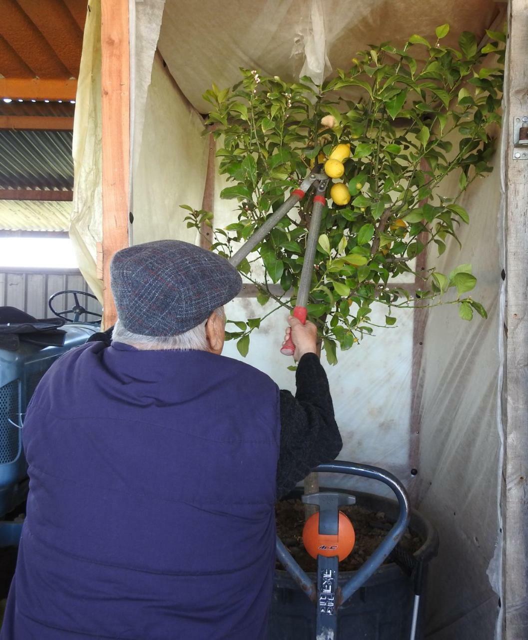 B&B El Ranxo Franciach Dış mekan fotoğraf