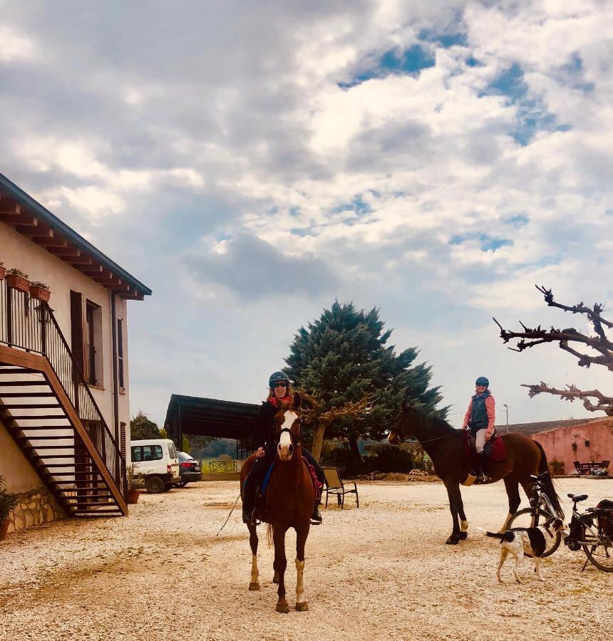 B&B El Ranxo Franciach Dış mekan fotoğraf