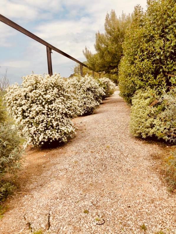 B&B El Ranxo Franciach Dış mekan fotoğraf